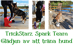 TrickStarz Spark Team